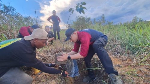 Makmur Elok Graha Peringati Hari Bumi dengan Aksi Nyata di Pulau Rempang. Pelestarian Lingkungan Lewat Penanaman Pohon Meranti dan Aksi Bersih Pantai