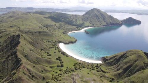 UNESCO Tekankan Keberlanjutan di Taman Nasional Komodo, PHC Tawarkan Model Investasi yang Sejalan dengan Konservasi