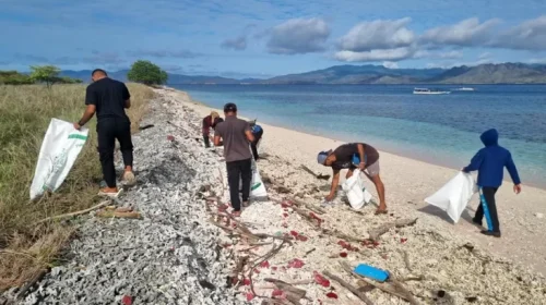 Jaga Lingkungan, Artha Graha Pastikan Tak Ada Pembangunan di Pulau Padar