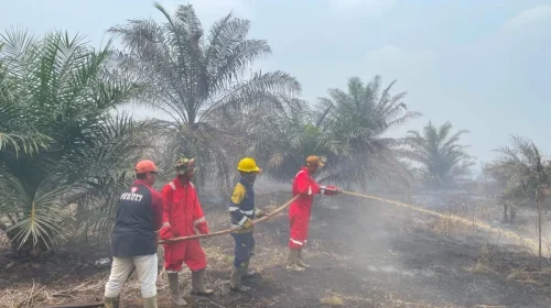 KPH Wilayah Kayong sinergi lintas sektor tangani karhutla di Kayong Utara