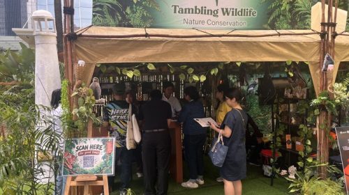 WCCE 2026 Dorong Kolaborasi Global untuk Perkuat Ekosistem Ekonomi Kreatif